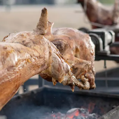 Lamb