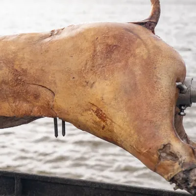 Whole pig